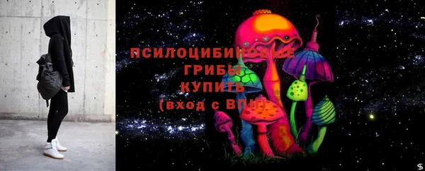 стафф Михайлов