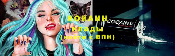 стафф Михайлов